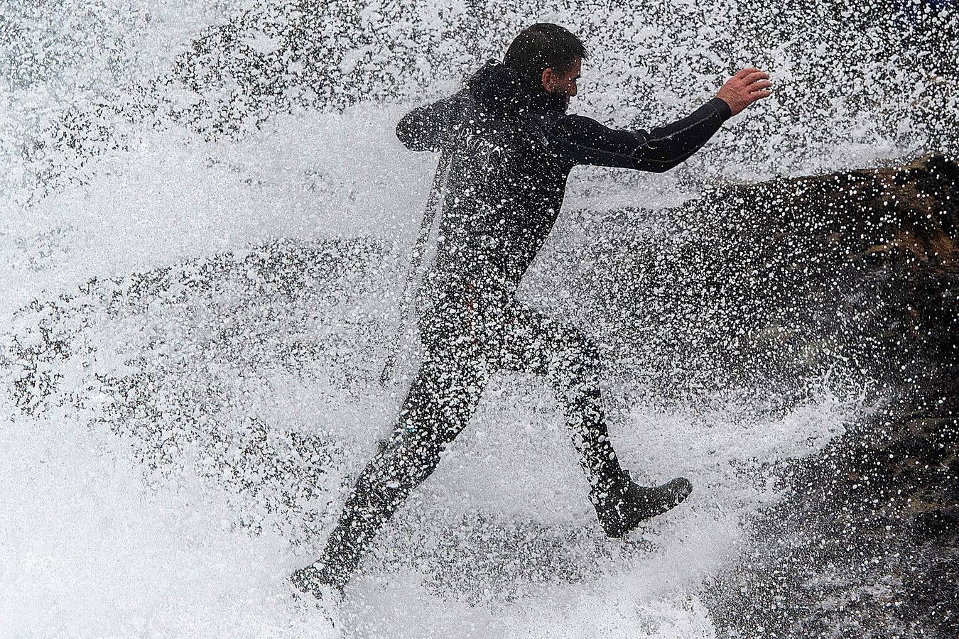 Tal vez sean las rocas o la bravura del mar. Los percebes de cabo Roncudo, en la llamada Costa de la Muerte, son los mejores del mundo. Y también los más caros. Los percebeiros arriesgan sus vidas encaramándose a las rocas cubiertas de lapas y minchas, entre el rugido de heladas olas batiendo los acantilados. Solo les está permitido faenar tres horas al día: dos horas antes de la bajamar y una después. En invierno se pueden capturar hasta cinco o seis kilos de percebes al día.