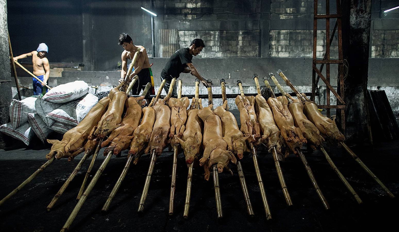 El territorio filipino está compuesto por más de 7.000 islas en las que se distribuyen los 100 millones de habitantes del país. Su complicada interconexión insular ha facilitado la aparición en el tiempo de una enorme variedad de lenguas y comidas locales. Una de ellas es el lechón relleno con papaya y hojas de tamarindo, que se pone a la brasa y se sirve con arroz acompañado con salsa de hígado. Los lechoneros (los vemos en las fotos) se dedican a girar el asado durante horas y lo bañan de tanto en tanto con agua de coco.