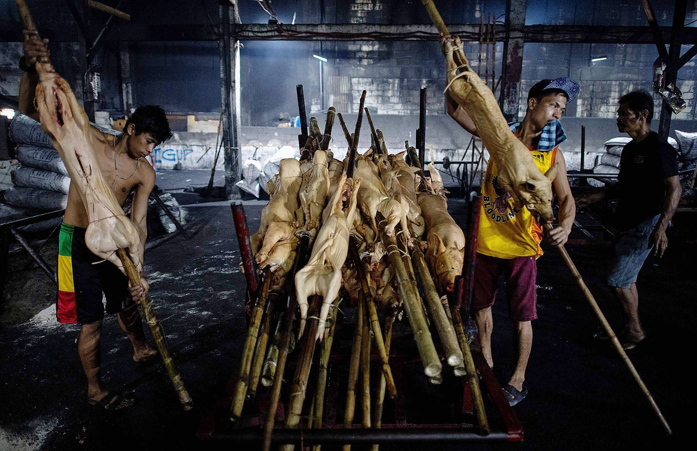 El territorio filipino está compuesto por más de 7.000 islas en las que se distribuyen los 100 millones de habitantes del país. Su complicada interconexión insular ha facilitado la aparición en el tiempo de una enorme variedad de lenguas y comidas locales. Una de ellas es el lechón relleno con papaya y hojas de tamarindo, que se pone a la brasa y se sirve con arroz acompañado con salsa de hígado. Los lechoneros (los vemos en las fotos) se dedican a girar el asado durante horas y lo bañan de tanto en tanto con agua de coco.