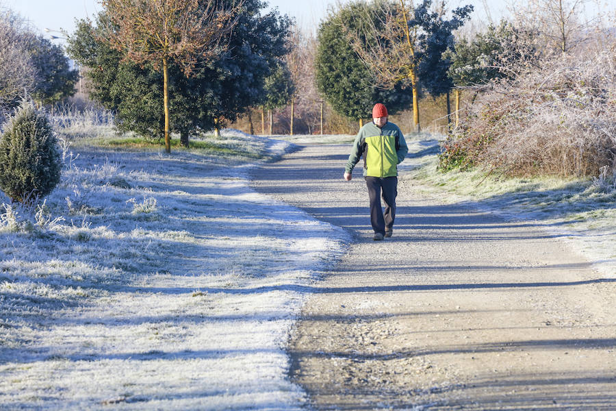 Los termómetros han marcado este viernes -8,5º en Ozaeta; -8,0º en Pagoeta y -7,2º en Abetxuko. La alerta por heladas y temperaturas mínimas se mantiene el fin de semana