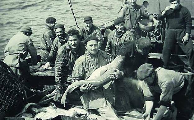 Imagen principal - Arriba, trabajando en la cubierta en el verano de 1953. Abajo a la izquierda, el 'Monte San Marcos' navegando con mala mar en noviembre de 1958. Los temporales causaban frecuentes daños en las cubiertas y los puentes, especialmente en el mes de marzo. Abajo a la derecha, Andrés, pescador gallego del 'Monte San Telmo', sostiene un enorme bacalao en mayo de 1960.