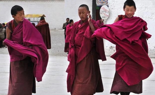 Jóvenes monjes tibetanos. 