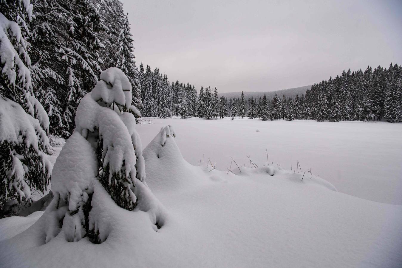 Fotos: Fuertes nevadas en el sur de Alemania y Austria