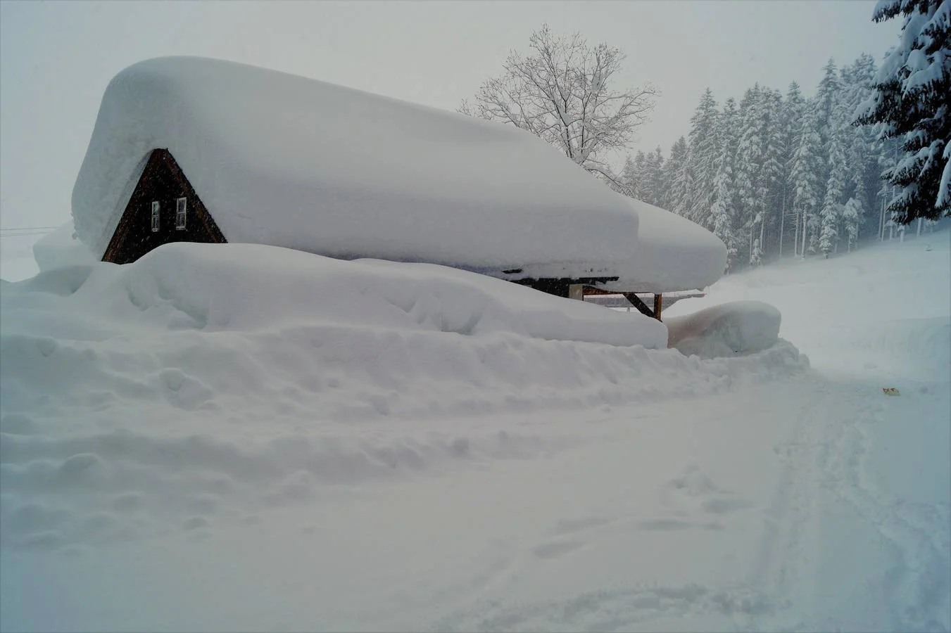 Fotos: Fuertes nevadas en el sur de Alemania y Austria