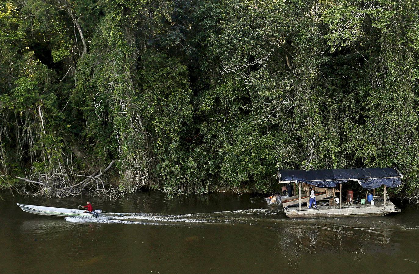 Los agentes medioambientales de Brasil llevan mucho tiempo realizando operaciones contra la minería ilegal de oro en el Amazonas. El objetivo de sus actuaciones no es detener a los trabajadores embarrados y descalzos que viven en condiciones de esclavitud para hombres fuertes desconocidos, sino destruir instalaciones y maquinaria, costosa y difícil de reemplazar. Brasil alberga 453 minas ilegales en esta amplísima zona y trata de llamar la atención sobre el problema, que contamina el agua de las comunidades locales y contribuye a la deforestación.
