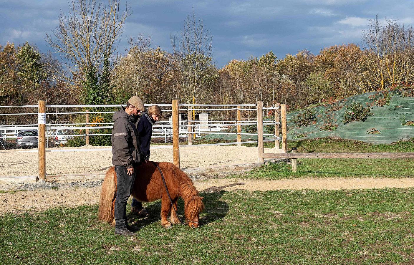 Cada año son hospitalizados unos 1.500 caballos en esta clínica creada en 1998, en Marcy-L'Etoile, cerca de Lyon. Los numerosos clientes de Clinequine, un centro-escuela veterinaria especializada en equinos, proceden de diferentes países, sobre todo de Suiza, Italia y España, y tiene pacientes muy diversos. Hay ejemplares de salto y de carreras que valen más de cuatro millones de euros, pero también atienden a burros y equinos de carga. Este año incluso han recibido un oso del zoo de Lyon. 