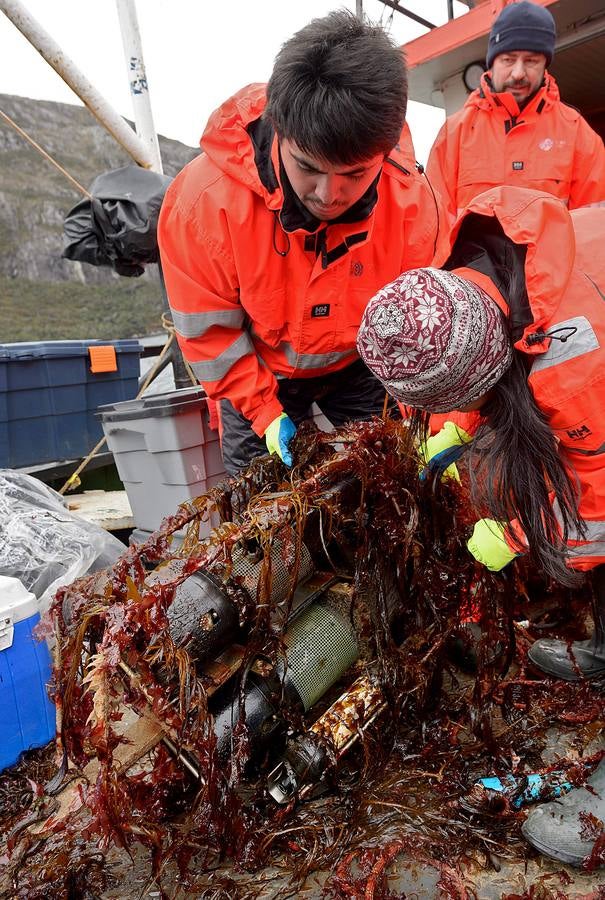 El fiordo Seno Ballena, en la región de Magallanes, al sur de Chile, es un verdadero laboratorio natural, único en el mundo. Un grupo de científicos analiza las características de sus aguas en estas fechas invernales con el objeto de conocer con detalle los efectos del cambio climático sobre diferentes organismos marinos. En las imágenes vemos el glaciar de Santa Inés y la isla de Carlos III, en Punta Arenas.