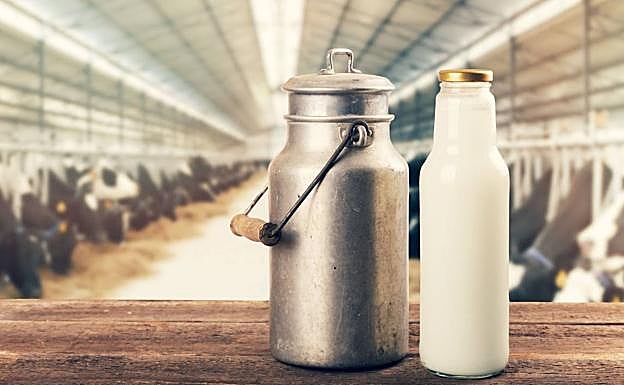 Más leche en Euskadi