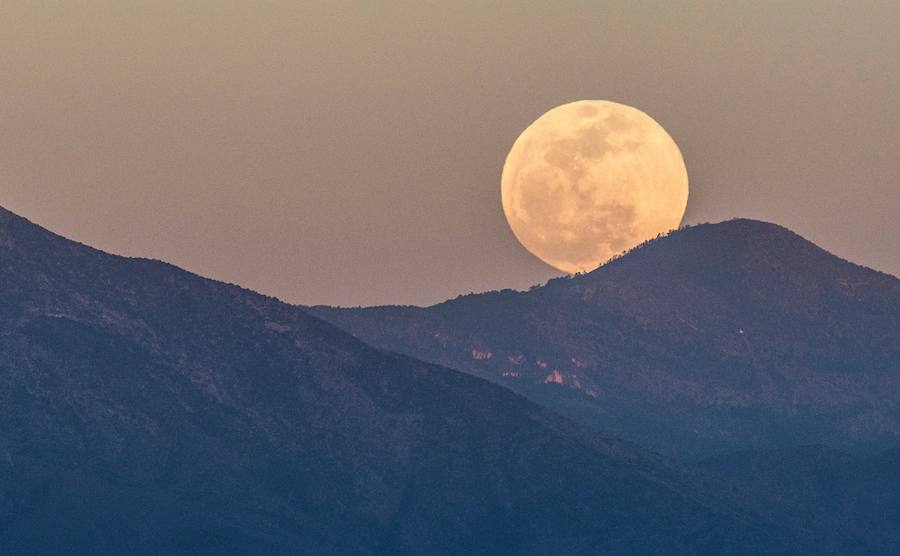 La luna de sangre, desde el Saltillo (México)