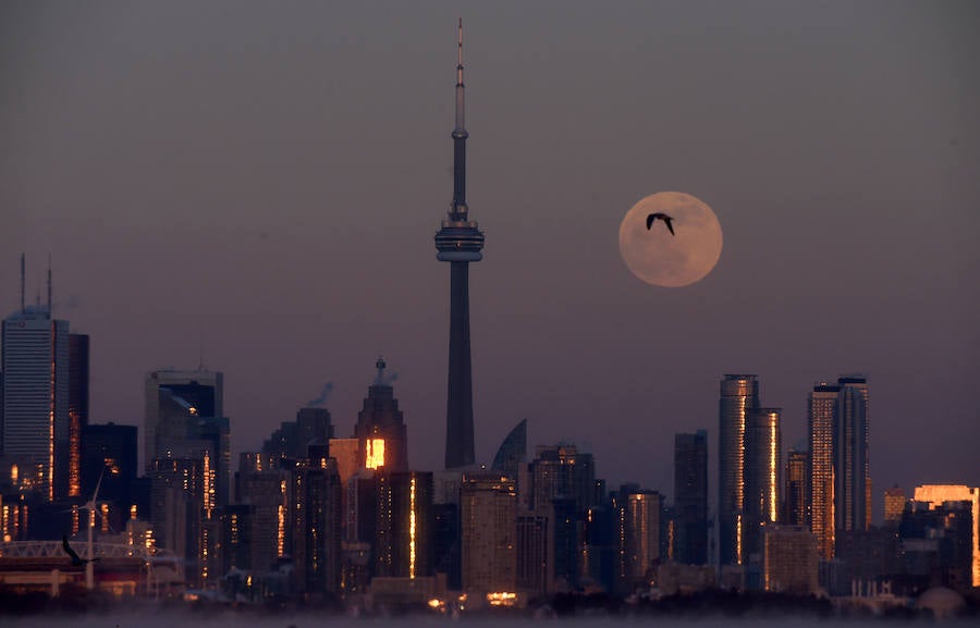 En Toronto, Canadá, también se vio la superluna.