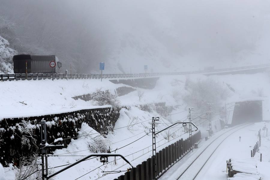 Asturias ha amanecido este martes cubierta de nieve.