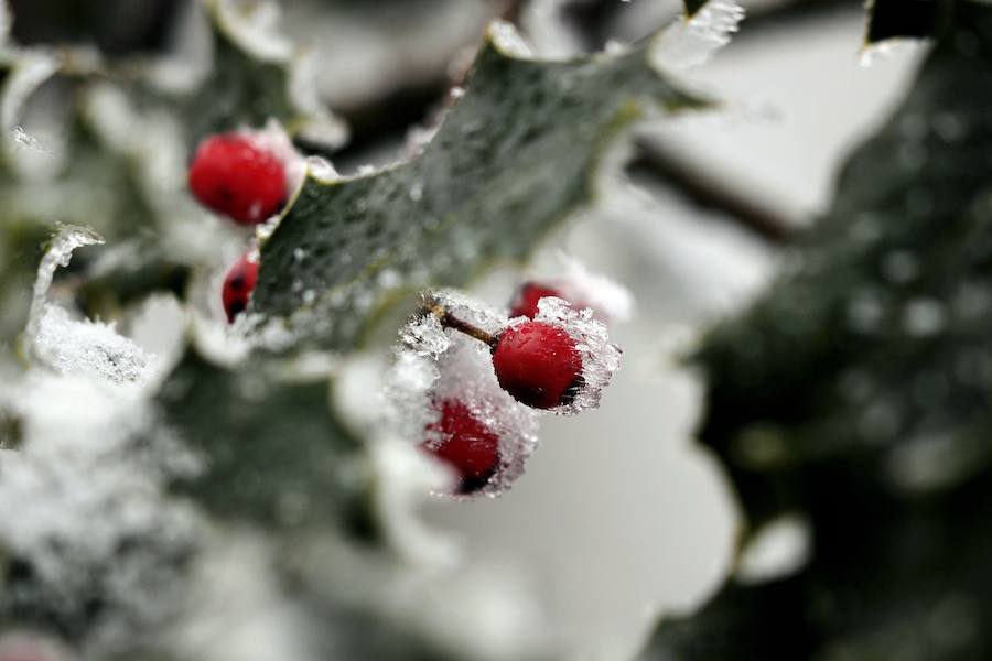 Nieve en O Cebreiro (Lugo).