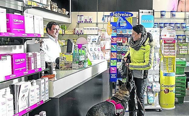En la farmacia del barrio se solidarizan con Silvia y le permiten el acceso con su perro escolta, pero en la mayoría de establecimientos públicos impiden la entrada de la perra.
