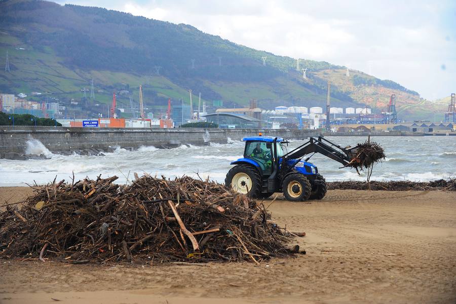 Una excavadora retira la madera acumulada en la playa de Ereaga.