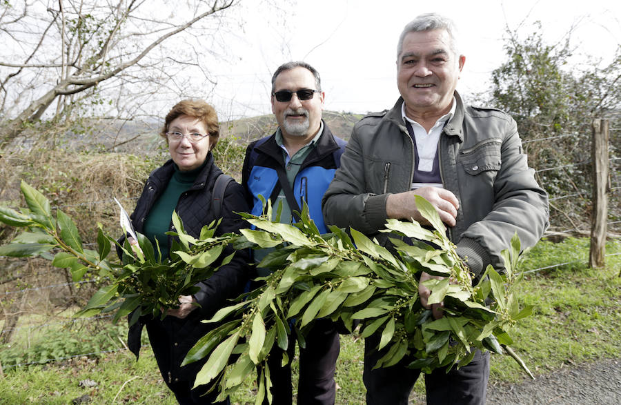 Jesús Pomar, Paco San Vicente y Lici Méndez han comprado laurel. «Además de estar en la ermita, al bajar nos hemos hecho con un poco de laurel que viene muy bien para todos los cocidos. Es que es la fecha de cogerlo».