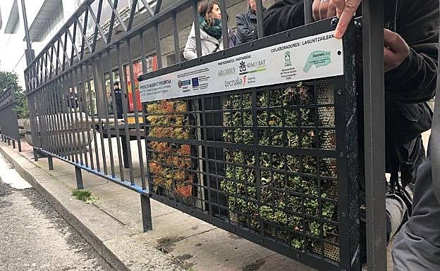 Operarios colocan el panel vegetal en la valla de la calle Paz.