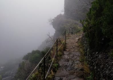 Imagen secundaria 1 - Madeira en invierno: seis joyas que no te puedes perder