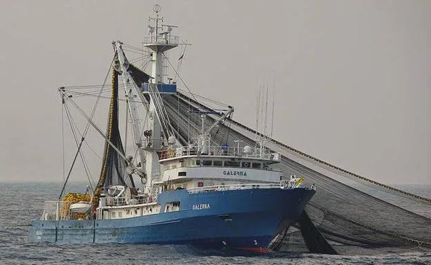 El atunero 'Galerna' en pleno lance de pesca en aguas del Atlántico. 