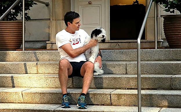Pedro Sánchez acaricia a su perra Turca.