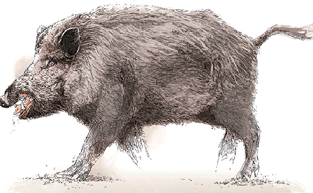 Urkiola abre la veda a los 'Robin Hood'