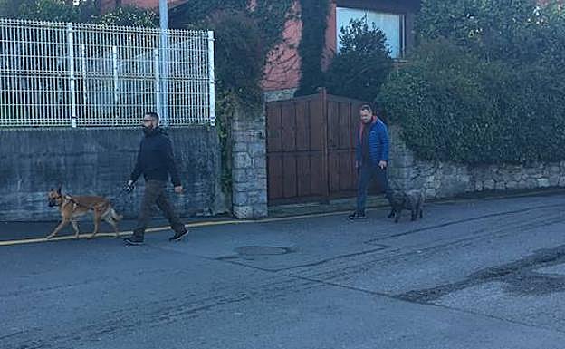 'Athor' y 'Marley', los perros que esta mañana han intervenido en el registro del domicilio de Pedro Nieva