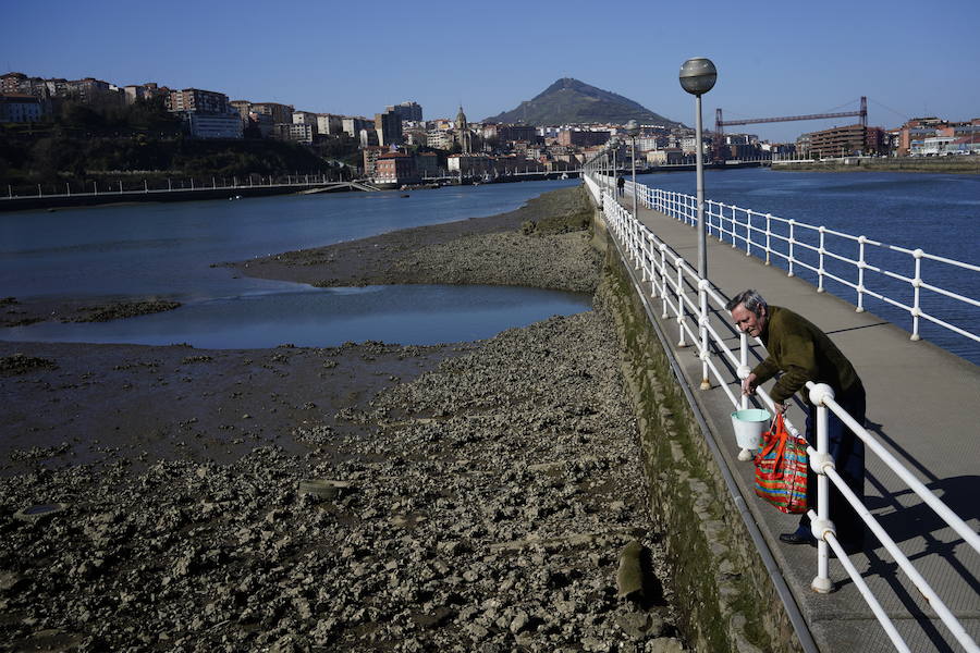 El muelle de La Benedicta, en Sestao.