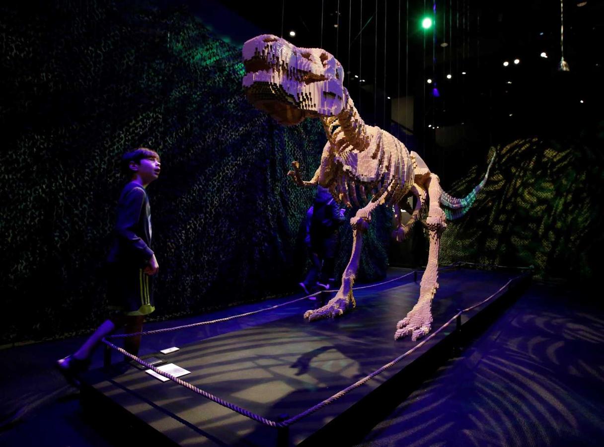 Un niño observa un dinosaurio realizado con piezas de Lego, expuesto en el Museo de Ciencia y Naturaleza Perot en Dallas, EEUU 