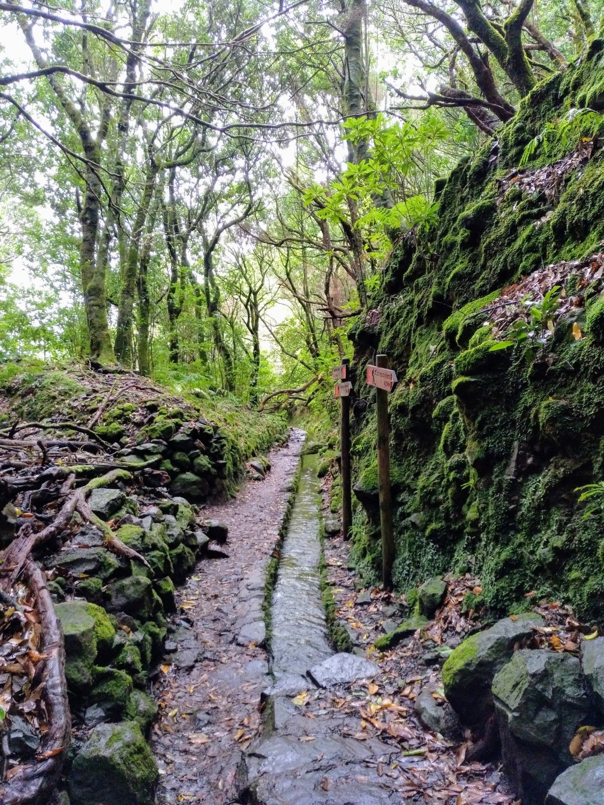 La levada es una canel de irrigación, como se aprecia en la imagen.