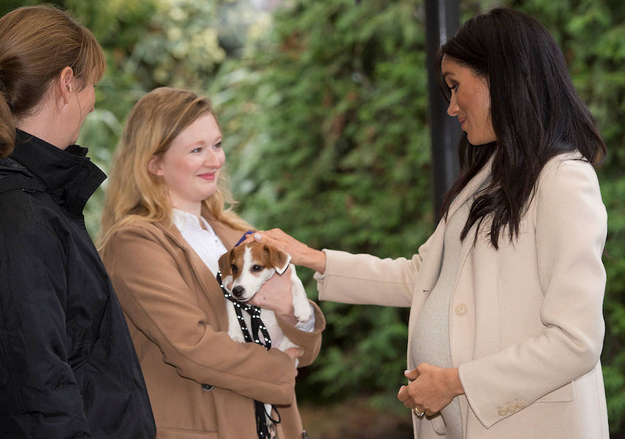 Megan acaricia a 'Maggie' en un acto en enero.