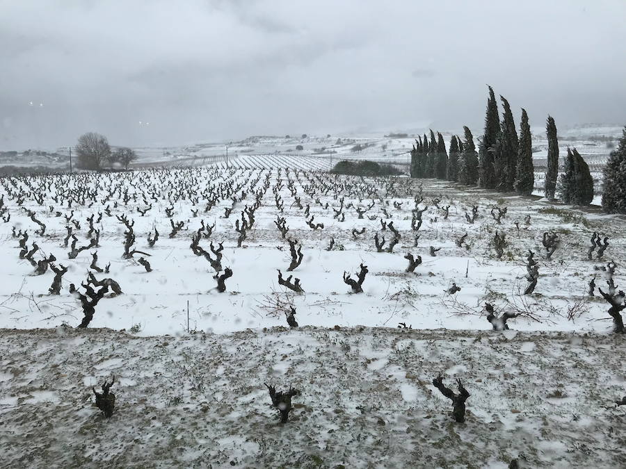 2018. La última gran nevada también fue en febrero.