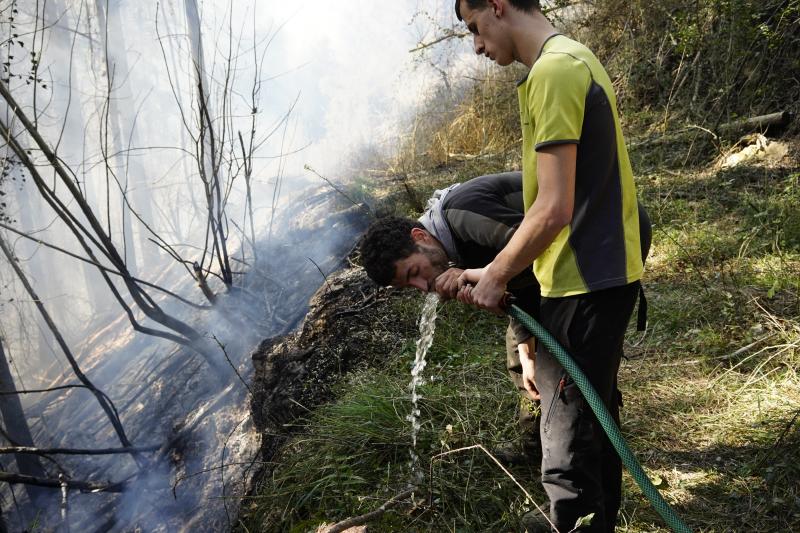 El viento sur y el calor ha favorecido la expansión de las llamas