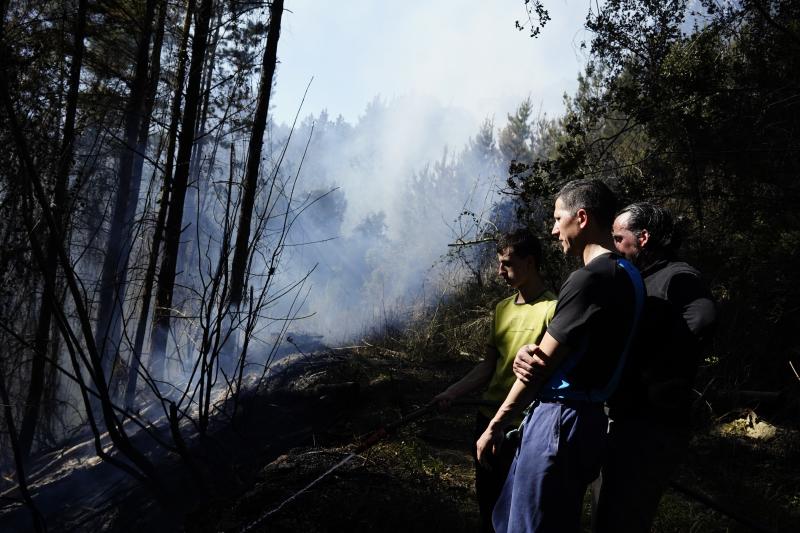 El viento sur y el calor ha favorecido la expansión de las llamas