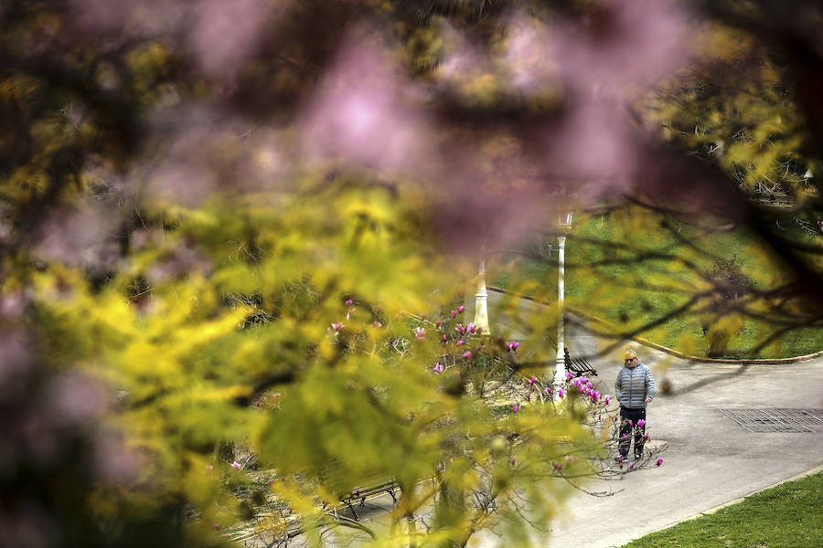 La primavera se ha adelantado y da colorido a la capital vizcaína. 