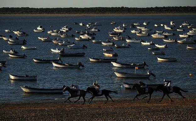 Los caballos galopan por la orilla del Guadalquivir durante la carrera que se disputa en agosto. Al otro lado del río, el Coto de Doñana. 