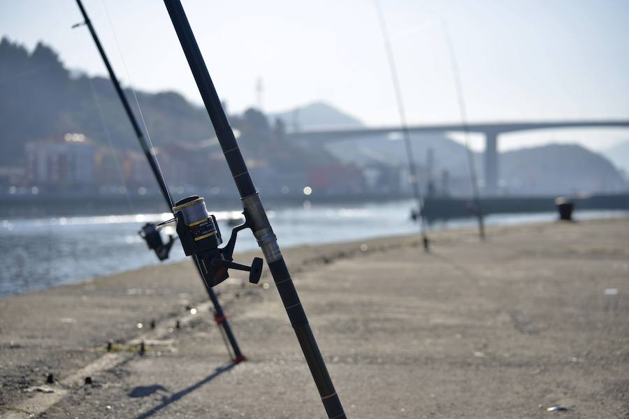 Finalista categoría 'Barakaldo, un entorno natural'. 'LAS CAÑAS DE PESCAR'. Autor: David Lázaro