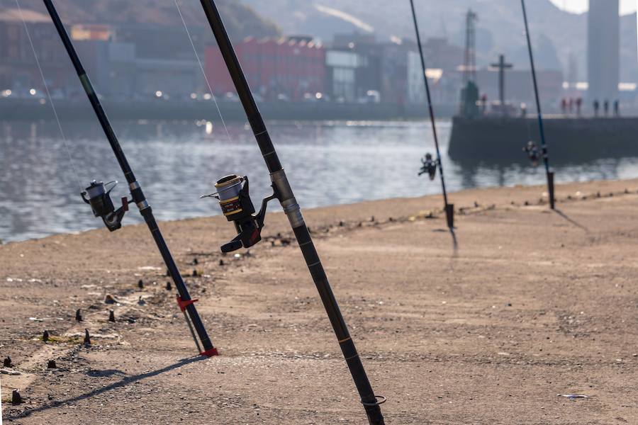 Finalista categoría 'La Ría y Barakaldo'. 'CAÑAS SOBRE LA RÍA, SÍNTOMAS DE VIDA ACUÁTICA'. Autor : Jose Ignacio González Sagredo
