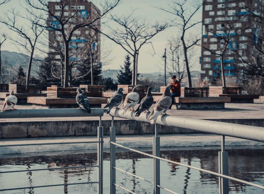 Finalista categoría 'Barakaldo, un entorno natural'. 'RELAX'. Autor: Xabier de Felipe