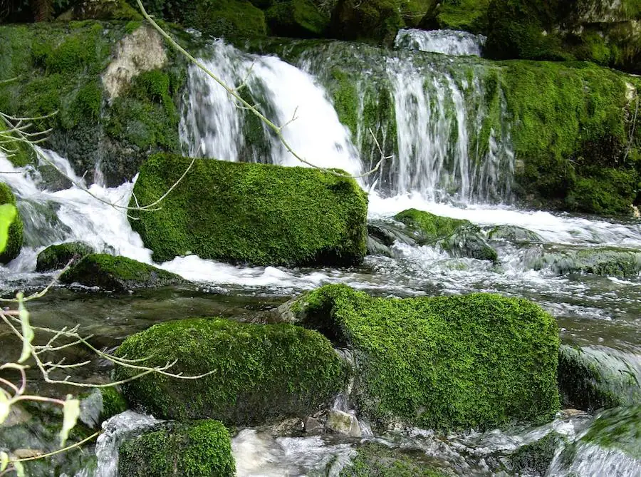 Nacimiento del Cadagua. 