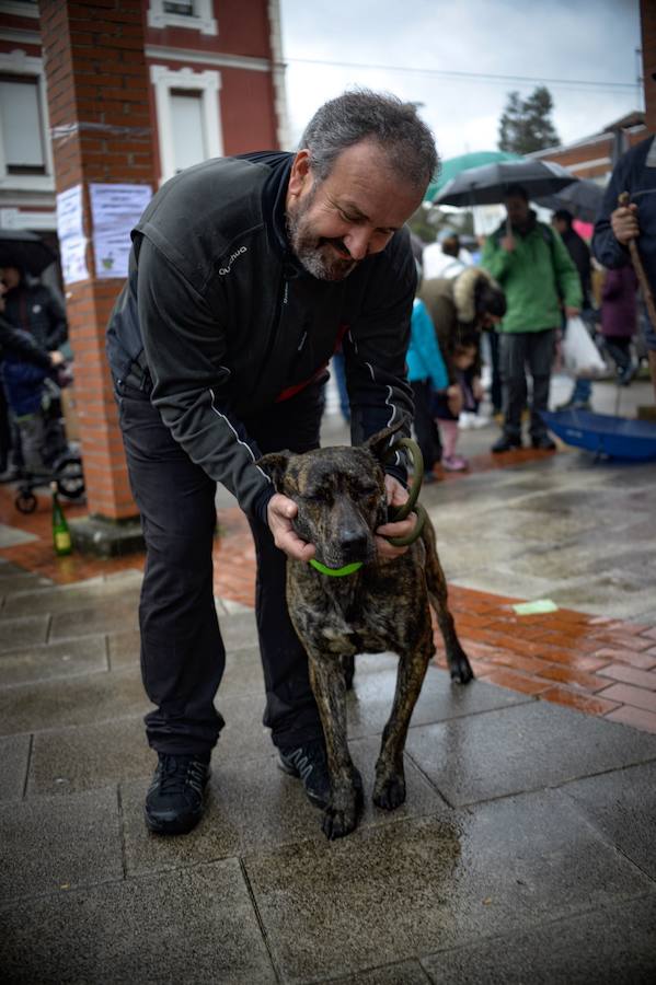 Noa, la ganadora del concurso de perros de Güeñes, con su dueño.