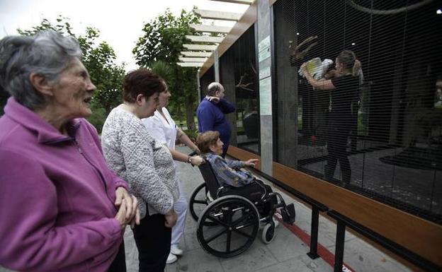 La fundación inauguró en 2017 un minizoo junto a un jardín botánico abierto a la ciudadanía. 