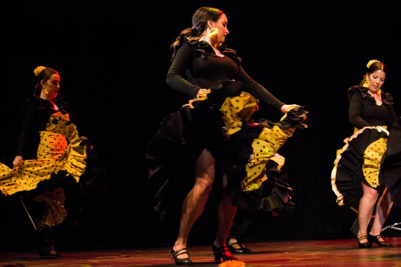 Fotos: Cante y baile para celebrar el Día de Andalucía en Bilbao