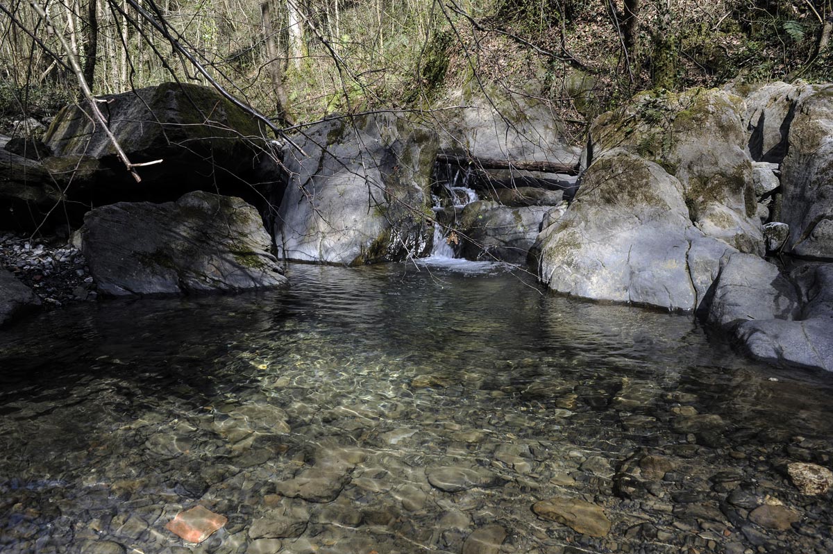 Una de las pozas naturales que se forman en el río.