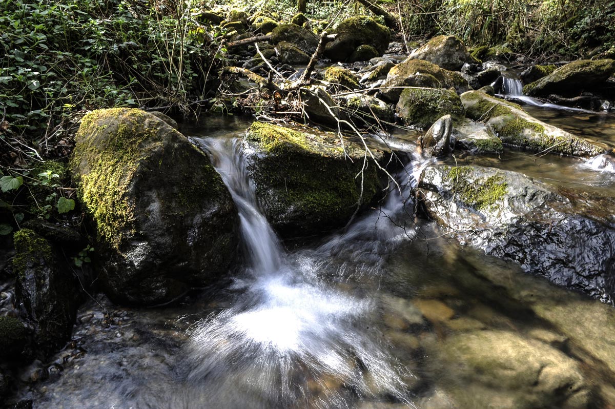 Las rocas con musgo y los saltitos de agua.