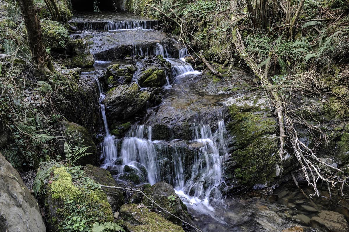 El último valle de Bilbao, un gran desconocido para muchos vecinos de la villa. 