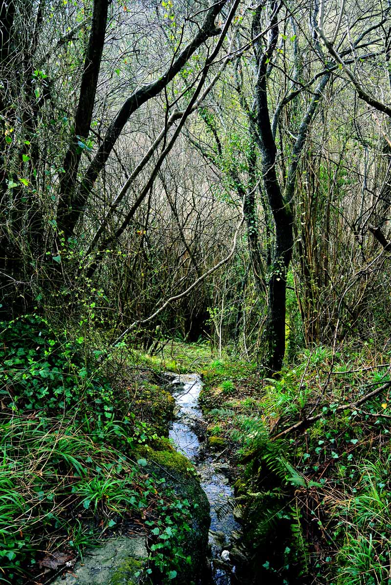 Bolintxu muestra todo su esplendor con sus vivos saltos de agua y su vegetación en pleno apogeo.