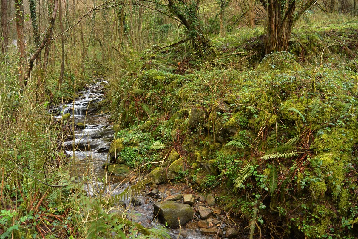 Bolintxu muestra todo su esplendor con sus vivos saltos de agua y su vegetación en pleno apogeo.