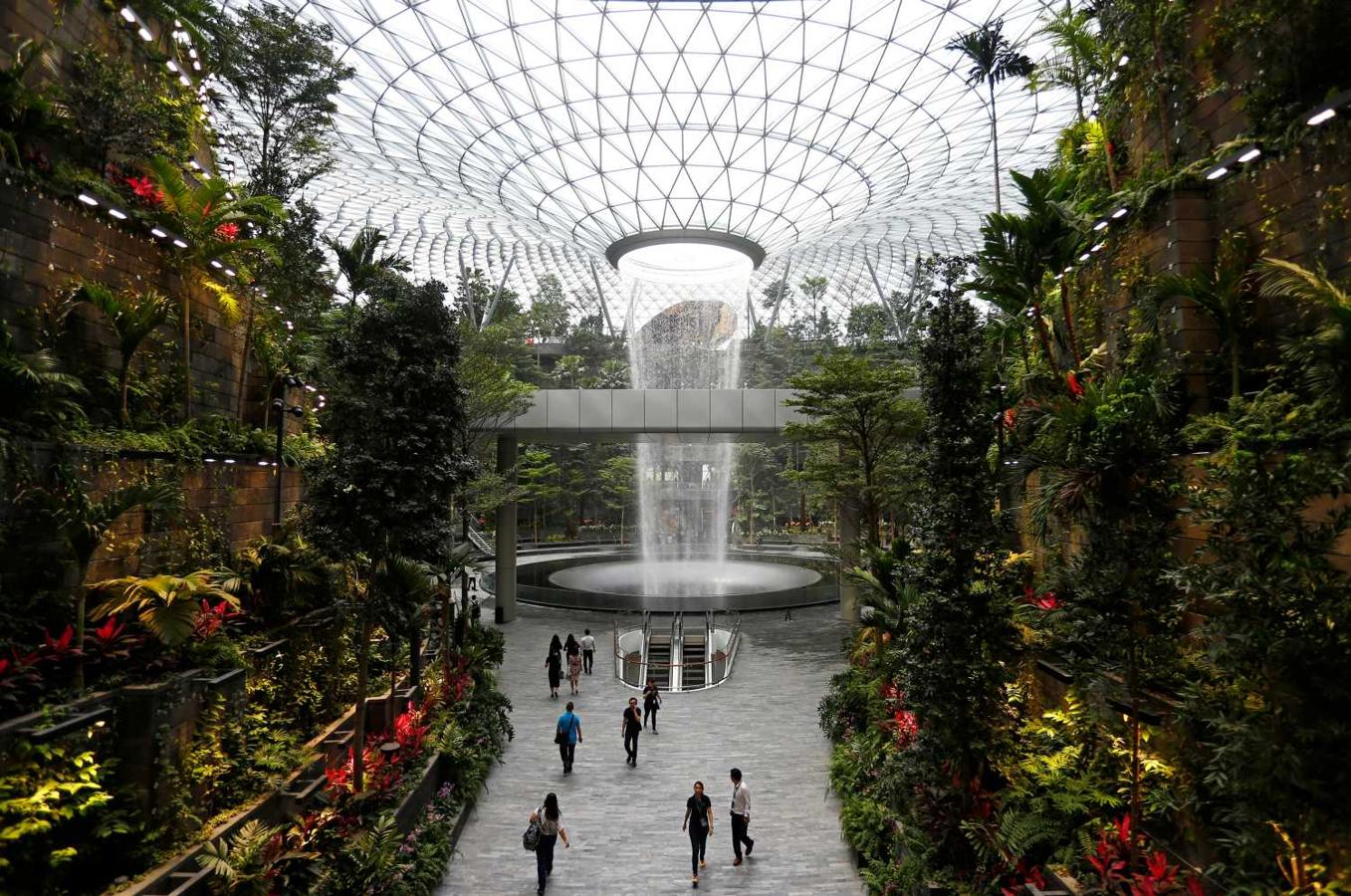 El Rain Vortex de 40 metros de altura, es la cascada interior más alta del mundo, es vista desde el interior del Aeropuerto Jewel Changi en Singapu