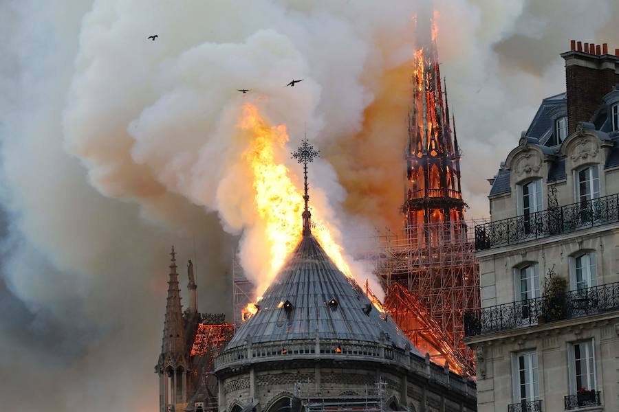 Fotos: Incendio en la catedral de Notre Dame de París