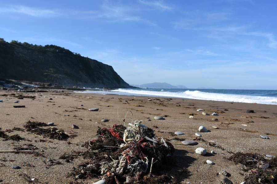 Kekelis Joyería & Alquimia es la firma de accesorios de Miren Begoña del Castillo, una bioquímica que aplica sus conocimientos científicos al diseño de piezas únicas en el barrio de San Francisco