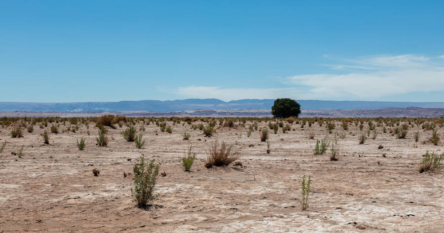 Desierto de Atacama: el lugar más seco de la Tierra